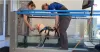 How Much Should I Charge For Hydrotherapy
