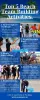 Beach Team Building Activities