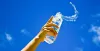 6 Naturally Right Skincare Essentials To Beat The Heat - Posting Proof
