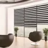 Venetian Blinds Auckland