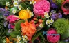 10 Beautiful flowers around the world - Watermarks Pro