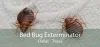 Bed Bug Exterminator Dallas, TX - Licensed Bed Bug Exterminator Company