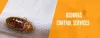 Bed Bugs Control Services - Bed Bugs Treatment | Awesome Pest