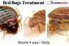 Pest Control Services in Bangalore | Bed Bugs Treatment | Housingsure