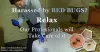 Preventive measures to keep bed bugs away from home ~ Reliable Home Service Provider in India