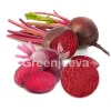 beetroot powder, buy beetroot powder, bulk beetroot powder, organic beetroot powder, beetroot powder bulk, beetroot powder uses, beetroot powder benefits