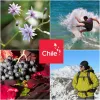 Why We Love traveling through chile (And You Should, Too!)