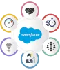   	Salesforce CRM Development Services | Greytrix  