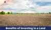 Benefits of Investing In a Land - TheOmniBuzz