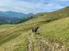 Benefits of Moving Overseas