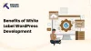 benefits-of-white-label-wordpress-development.png