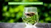 Benefits of Green Tea for Weight Loss