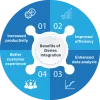 IBM i/AS400 System Integrations Services