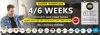 Best 6 weeks Summer Training In Noida | Training in noida