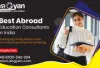 High-Paying Jobs for Doing MS in Accounting for Abroad Study