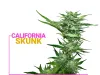 Fatbush Seeds, The Best Cannabis Seeds