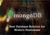 Is MongoDb Really A Good Fit Data Solution for Your Business? - Creative Encode Technologies | Web Design and Development