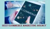 Top Ecommerce Marketing Agency in New York - Online Prestige Management