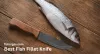 Find Your Perfect Fish Fillet Knife at Fishinges