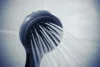 Handheld Shower Head Reviews