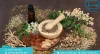 Herbal Store - Ajmal Dawakhana Products 