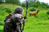 Ups and Downs of Bow Hunting