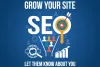 SEO Services Delhi | SEO Company Delhi - Bluelinks