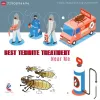 Best Termite Treatment Near Me
