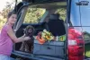 Best trunk organizer