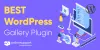 Which is the Top WordPress Gallery Plugin for Image &amp; Video?