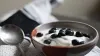 Digital yogurt maker