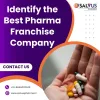Identify the Best Pharma Franchise Company