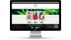 Best Affordable Website Design Services In Nassau Bahamas