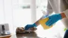 Cheap Bond Cleaning Brisbane