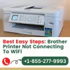 Brother Printer Not Connecting To WiFi