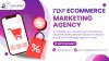best_ecommerce_seo_services_in_india_for_shopify_and_woocommerce_to_accelerate_online_success_wish_geeks_techserve.png
