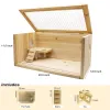 Best Wooden Hamster Cages