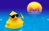 5 Best Monero Mining Pools to Join (2019 Updated)