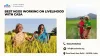 Best NGOs Working on Livelihood with CASA