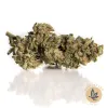 Best Places to Buy Hemp Flower