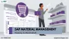 best-sap-mm-training