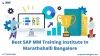 sap mm training institute in bangalore