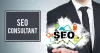 best_seo_consultant_in_india.png