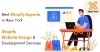 Best Shopify Experts in New York - Shopify Website Design & Development Services