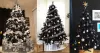 Best Unique Black Christmas tree Decoration Ideas