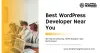 WordPress Developer Near You