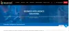 Business Intelligence solutions