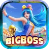 Nhiệm Vụ Đại Lý Bigboss Có Thực Sự Dễ Làm?	