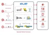 Big Data Services & Solutions| Big Data Company in UK 