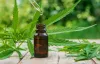 CBD Does Not Have Any Psychoactive Effects